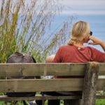 meeting wooden bench weathering 4403850